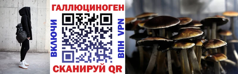 Галлюциногенные грибы мухоморы  магазин продажи наркотиков  Макарьев 